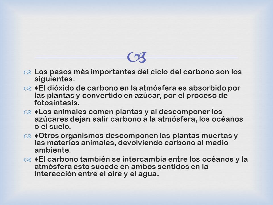 Los pasos más importantes del ciclo del carbono son los siguientes: