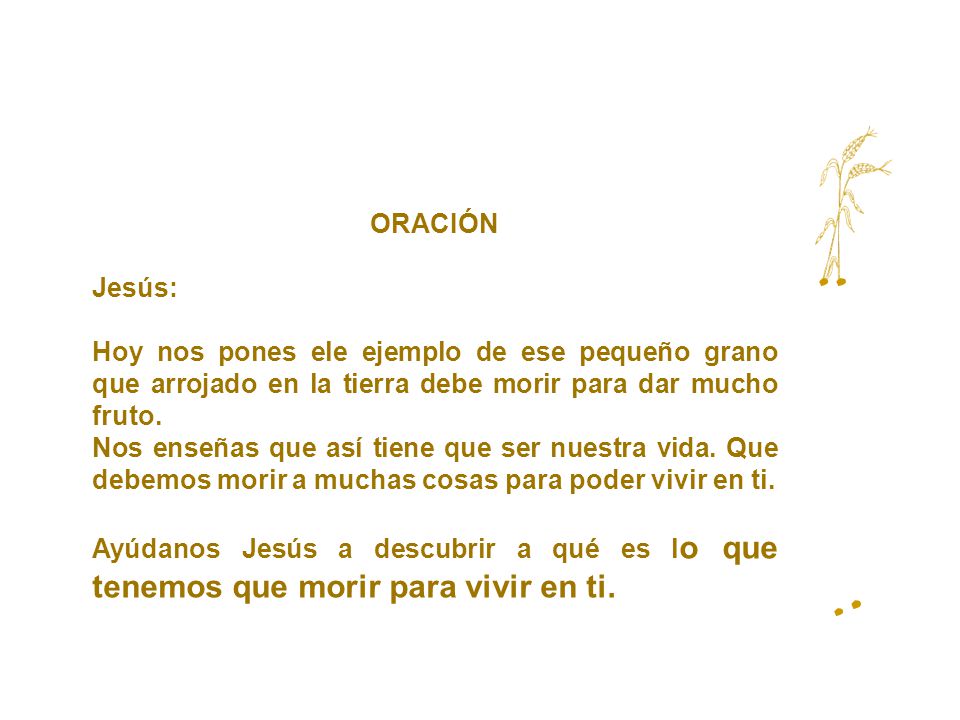 ORACIÓN Jesús: Hoy nos pones ele ejemplo de ese pequeño grano que arrojado en la tierra debe morir para dar mucho fruto.