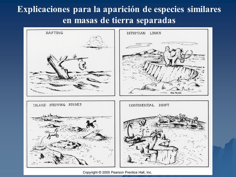 Explicaciones para la aparición de especies similares en masas de tierra separadas