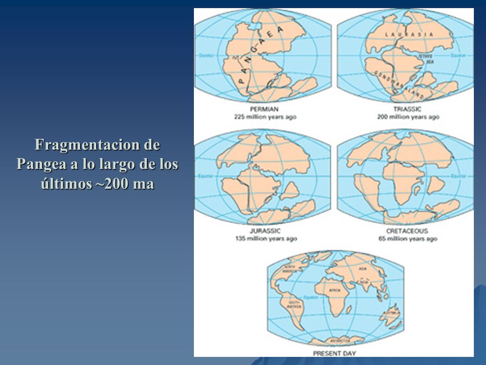 Fragmentacion de Pangea a lo largo de los últimos ~200 ma