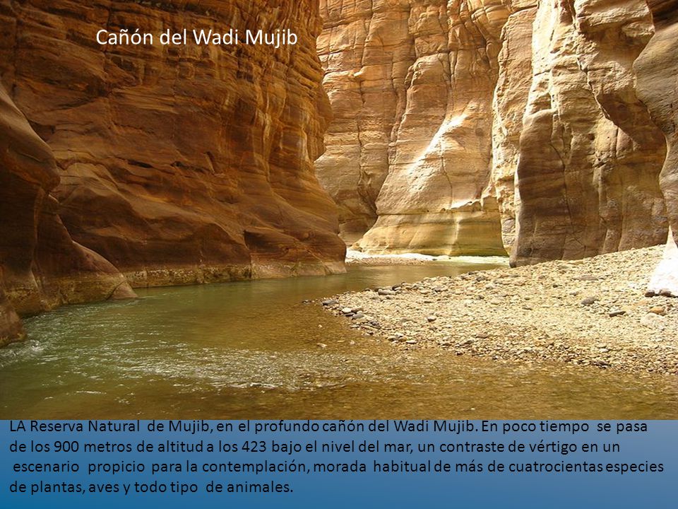 Cañón del Wadi Mujib LA Reserva Natural de Mujib, en el profundo cañón del Wadi Mujib. En poco tiempo se pasa.