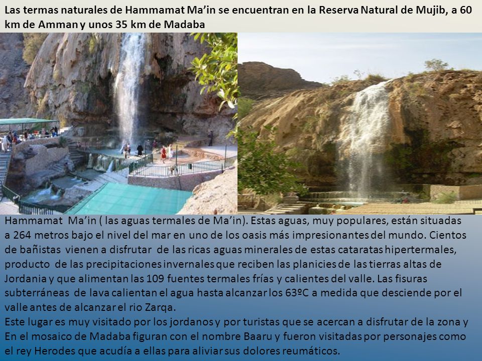 Las termas naturales de Hammamat Ma’in se encuentran en la Reserva Natural de Mujib, a 60 km de Amman y unos 35 km de Madaba