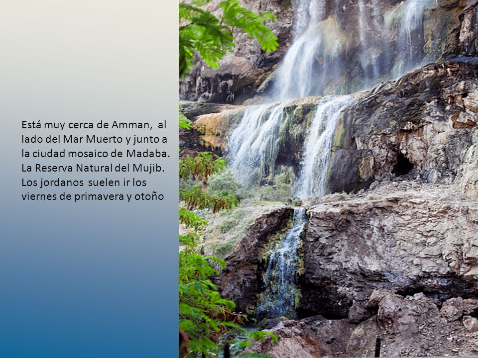 Está muy cerca de Amman, al lado del Mar Muerto y junto a la ciudad mosaico de Madaba.