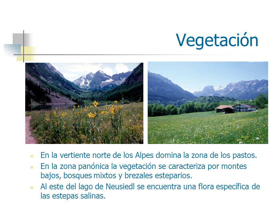 Vegetación En la vertiente norte de los Alpes domina la zona de los pastos.