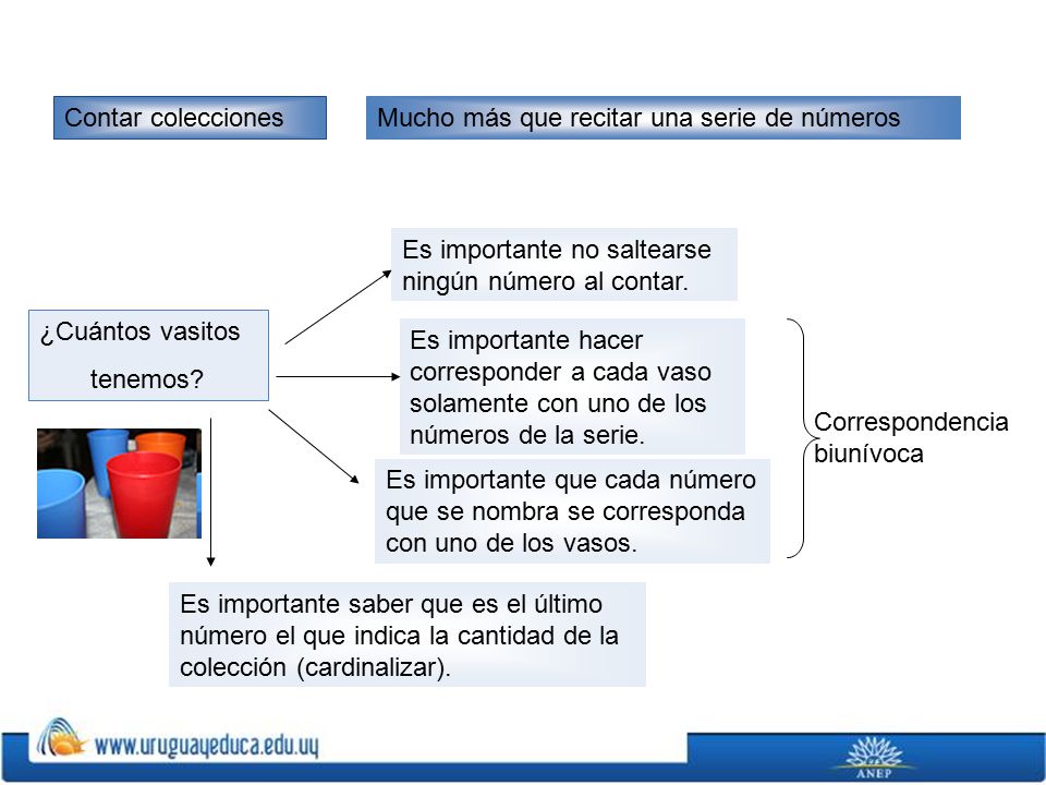 Contar colecciones Mucho más que recitar una serie de números. Es importante no saltearse ningún número al contar.