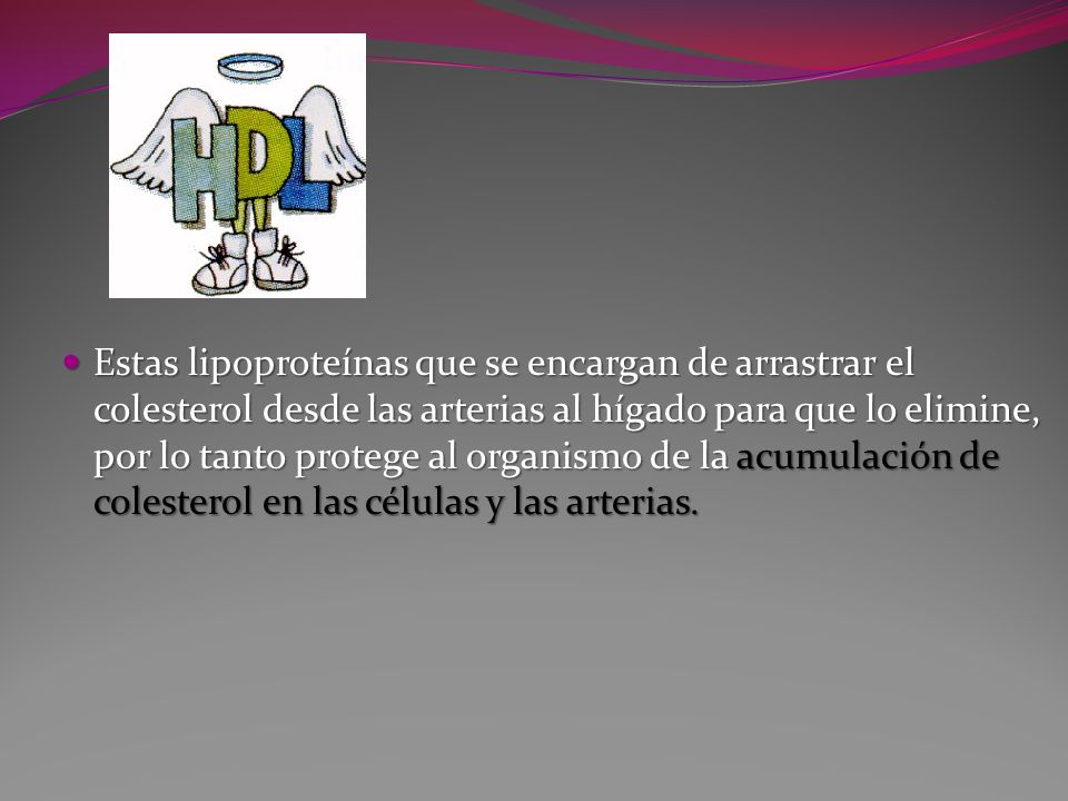 Estas lipoproteínas que se encargan de arrastrar el colesterol desde las arterias al hígado para que lo elimine, por lo tanto protege al organismo de la acumulación de colesterol en las células y las arterias.