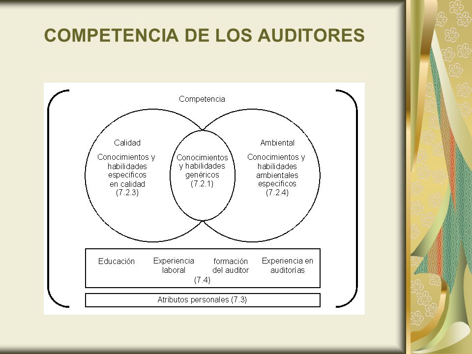 COMPETENCIA DE LOS AUDITORES