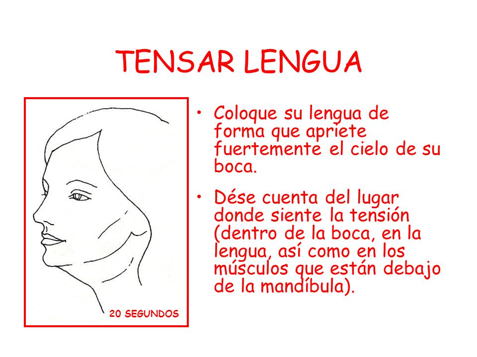 TENSAR LENGUA Coloque su lengua de forma que apriete fuertemente el cielo de su boca.
