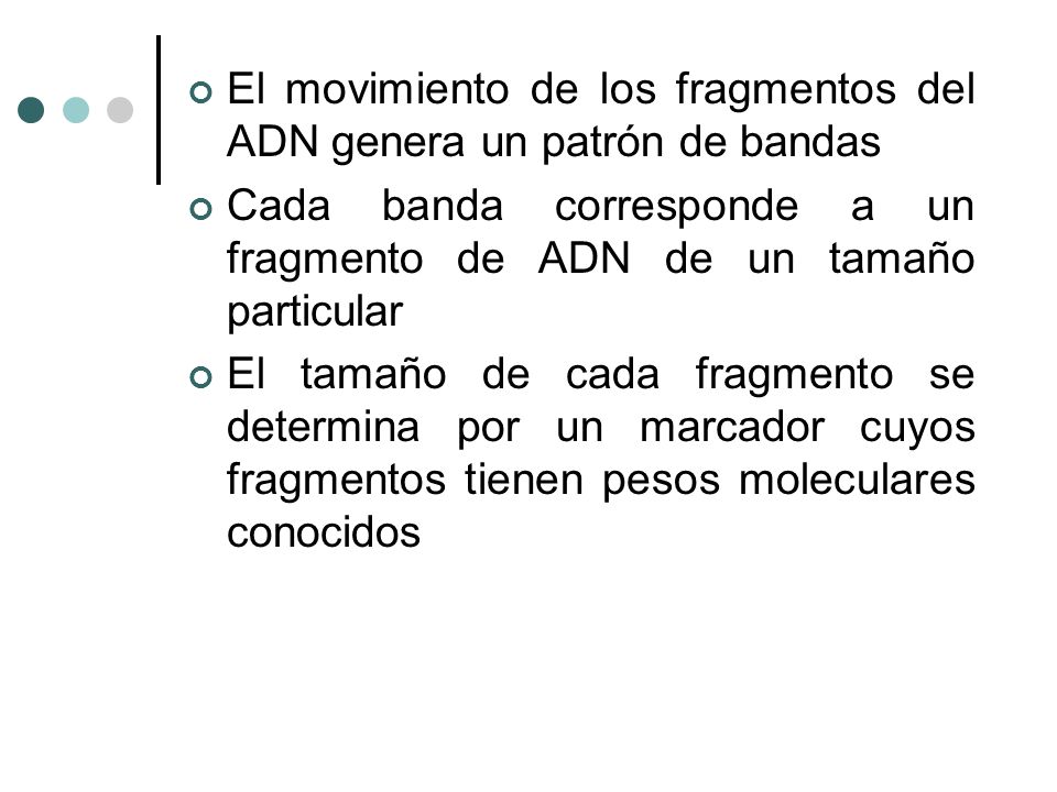 El movimiento de los fragmentos del ADN genera un patrón de bandas