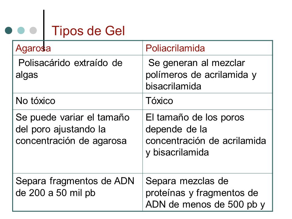 Tipos de Gel Agarosa Poliacrilamida Polisacárido extraído de algas