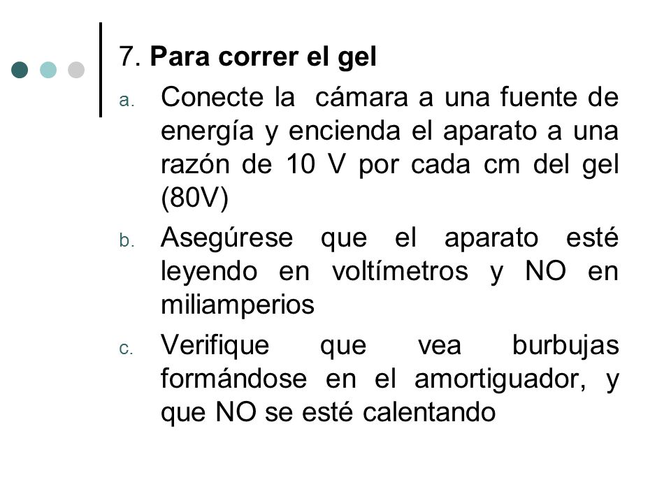 7. Para correr el gel Conecte la cámara a una fuente de energía y encienda el aparato a una razón de 10 V por cada cm del gel (80V)