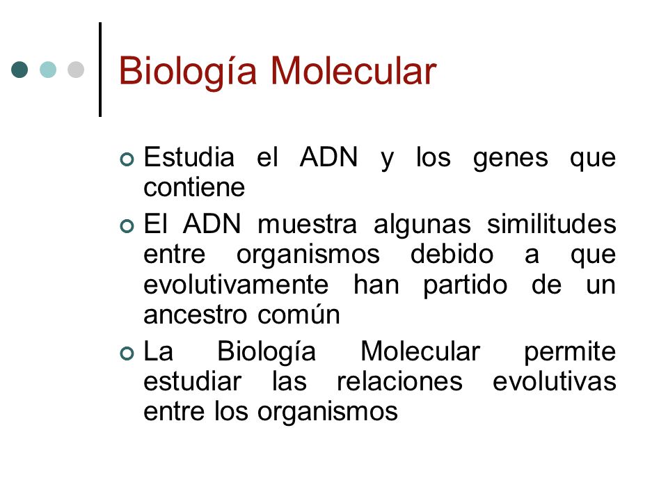Biología Molecular Estudia el ADN y los genes que contiene