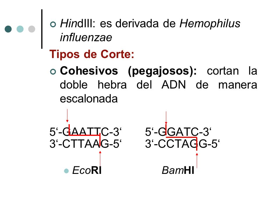 HindIII: es derivada de Hemophilus influenzae Tipos de Corte: