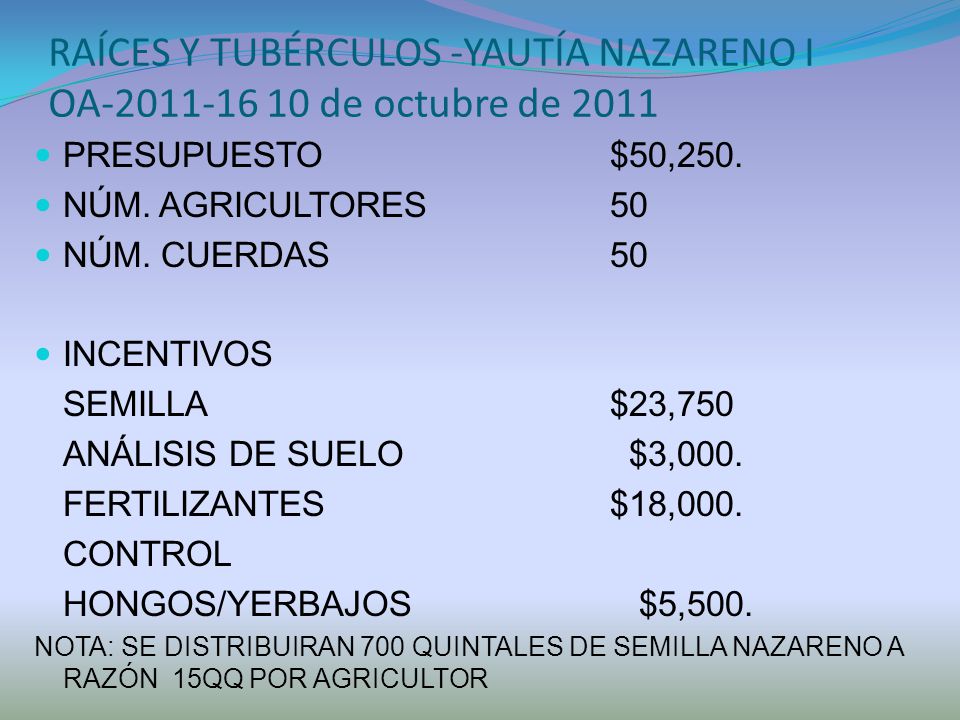 RAÍCES Y TUBÉRCULOS -YAUTÍA NAZARENO I OA de octubre de 2011