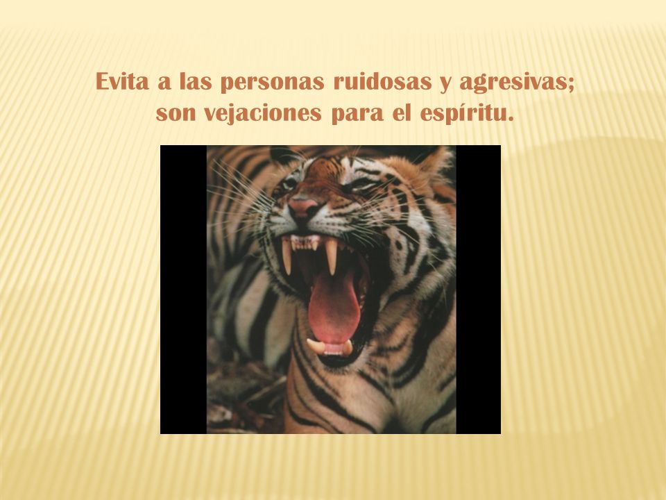 Evita a las personas ruidosas y agresivas; son vejaciones para el espíritu.