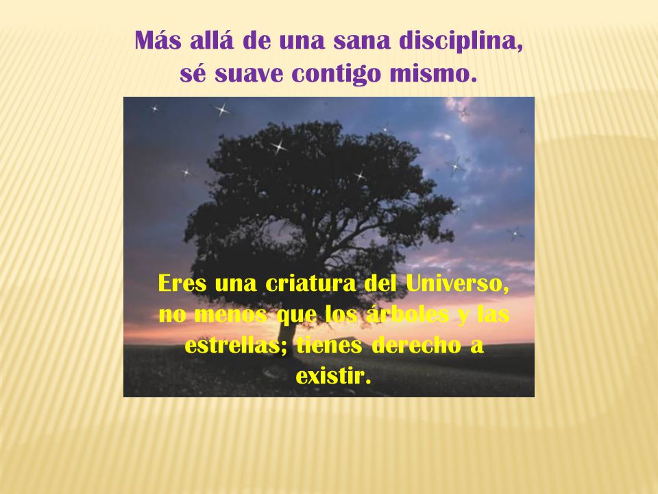 Más allá de una sana disciplina, sé suave contigo mismo.