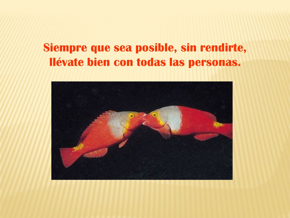 Siempre que sea posible, sin rendirte, llévate bien con todas las personas.
