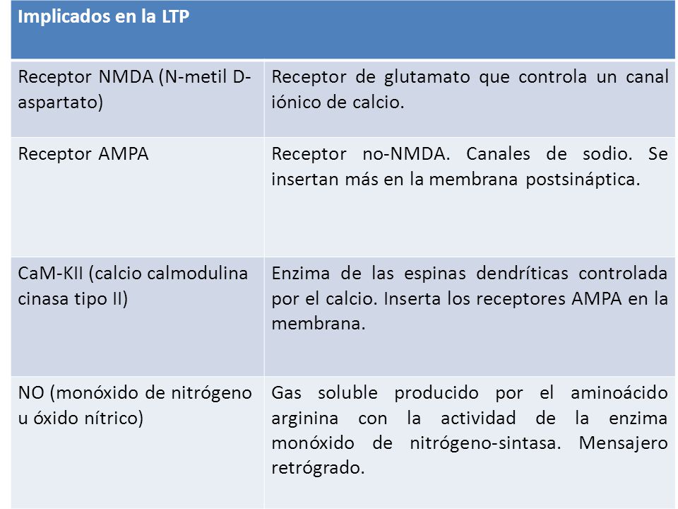 Implicados en la LTP Receptor NMDA (N-metil D-aspartato) Receptor de glutamato que controla un canal iónico de calcio.