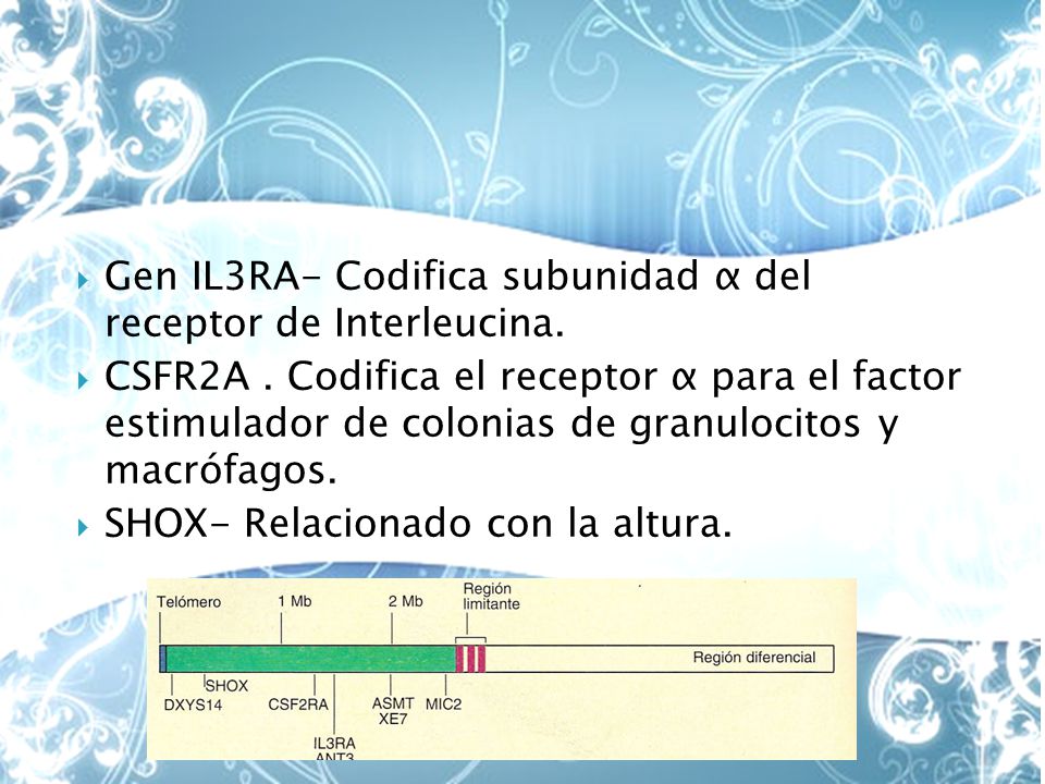 Gen IL3RA- Codifica subunidad α del receptor de Interleucina.