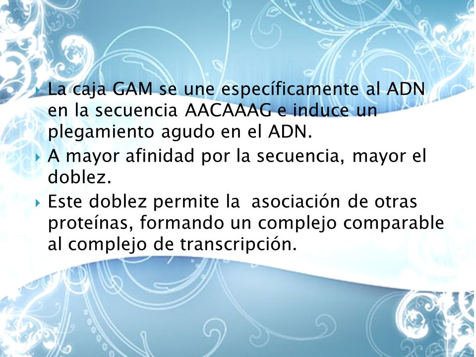 La caja GAM se une específicamente al ADN en la secuencia AACAAAG e induce un plegamiento agudo en el ADN.