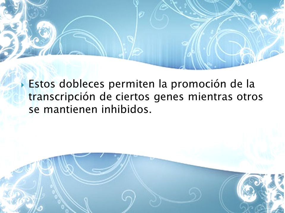 Estos dobleces permiten la promoción de la transcripción de ciertos genes mientras otros se mantienen inhibidos.