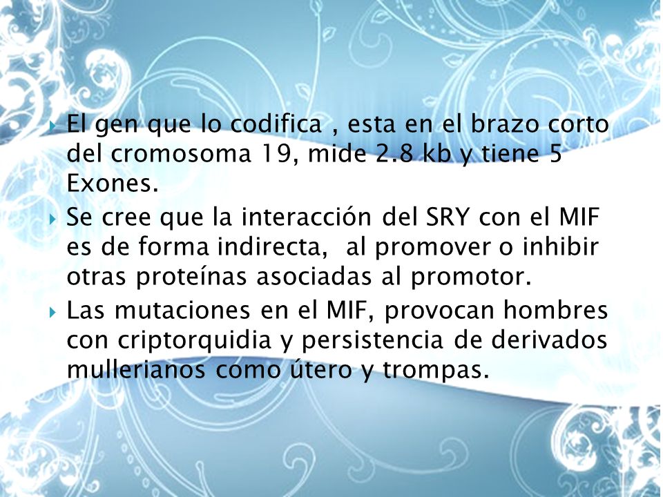 El gen que lo codifica , esta en el brazo corto del cromosoma 19, mide 2.8 kb y tiene 5 Exones.