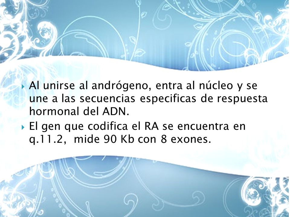Al unirse al andrógeno, entra al núcleo y se une a las secuencias especificas de respuesta hormonal del ADN.