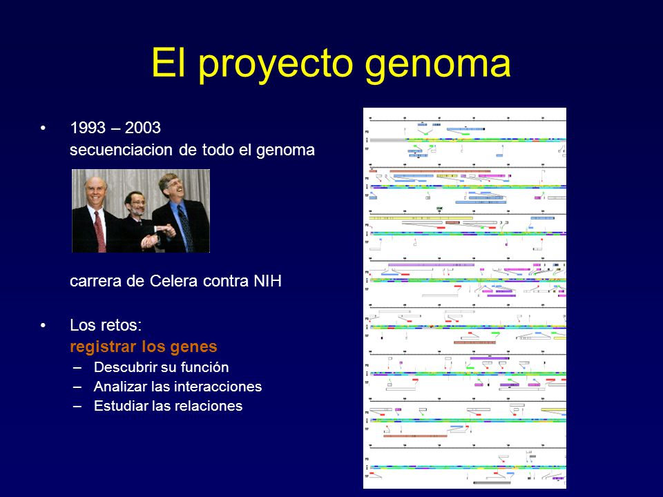 El proyecto genoma 1993 – 2003 secuenciacion de todo el genoma