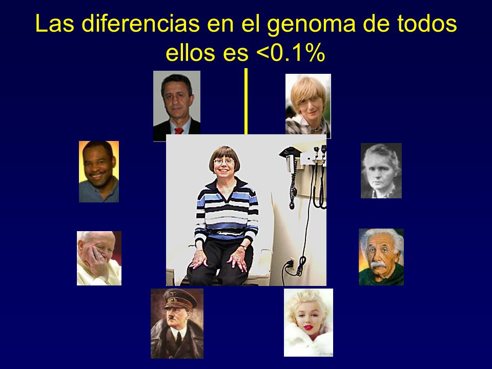 Las diferencias en el genoma de todos ellos es <0.1%