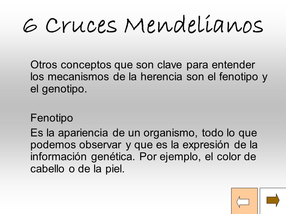 6 Cruces Mendelianos Otros conceptos que son clave para entender los mecanismos de la herencia son el fenotipo y el genotipo.