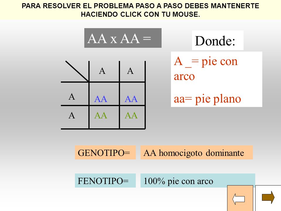 AA x AA = Donde: A _= pie con arco aa= pie plano A A A AA AA A AA AA