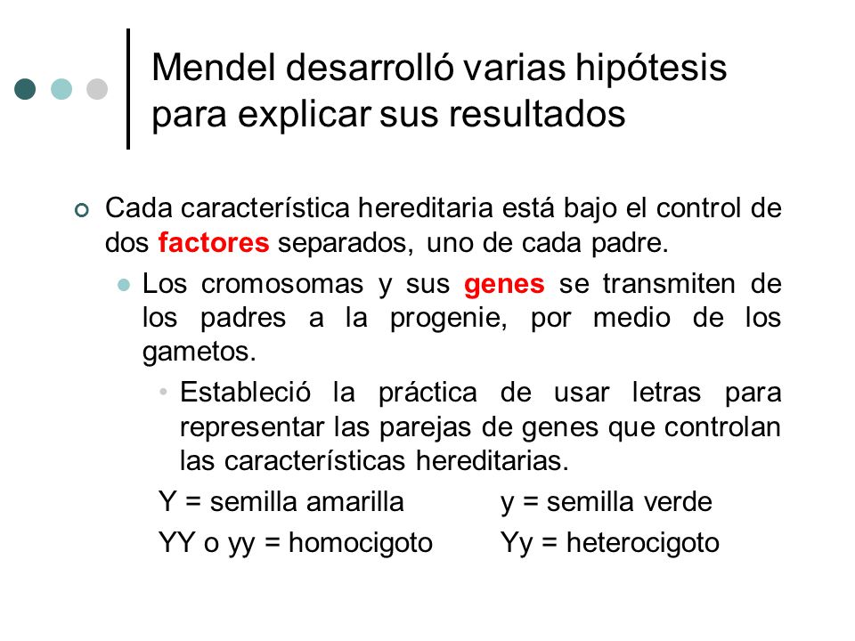 Mendel desarrolló varias hipótesis para explicar sus resultados