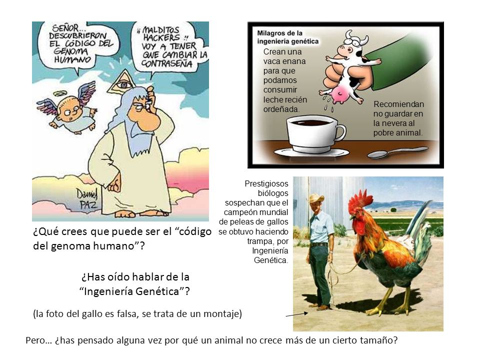 ¿Qué crees que puede ser el código del genoma humano