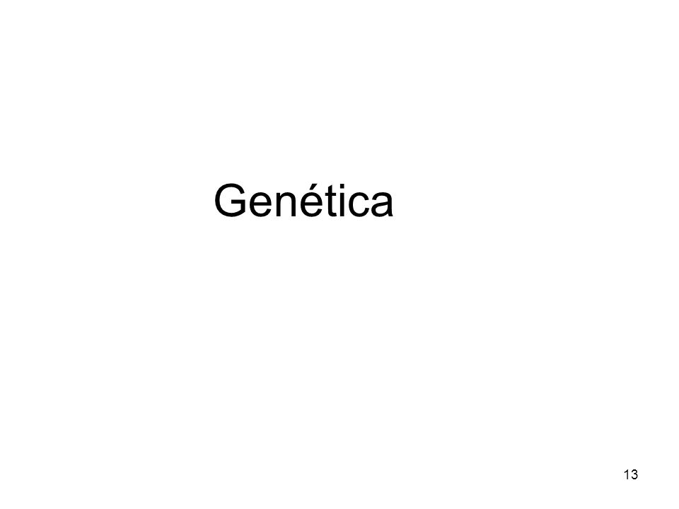 Genética