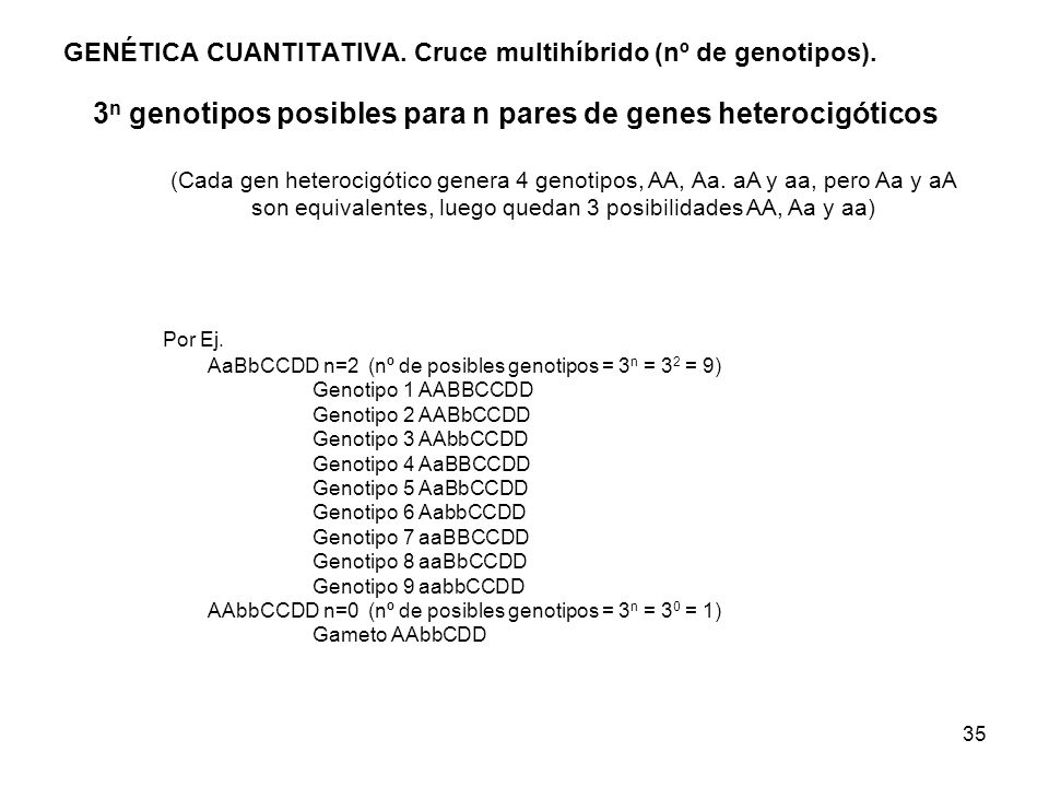 GENÉTICA CUANTITATIVA. Cruce multihíbrido (nº de genotipos).