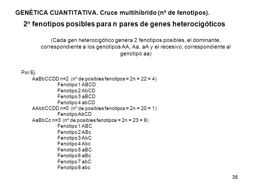 GENÉTICA CUANTITATIVA. Cruce multihíbrido (nº de fenotipos).