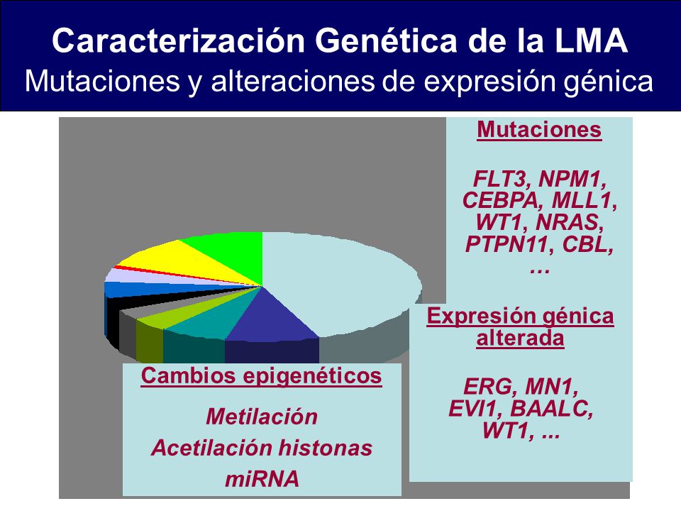 Caracterización Genética de la LMA Mutaciones y alteraciones de expresión génica