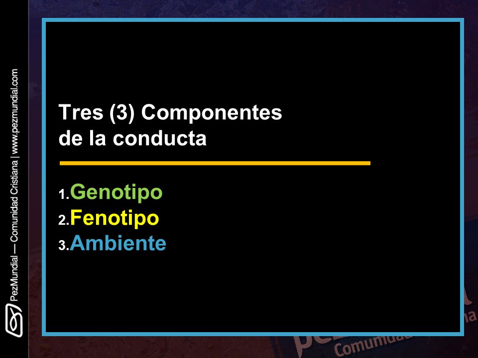 Tres (3) Componentes de la conducta 1.Genotipo 2.Fenotipo 3.Ambiente