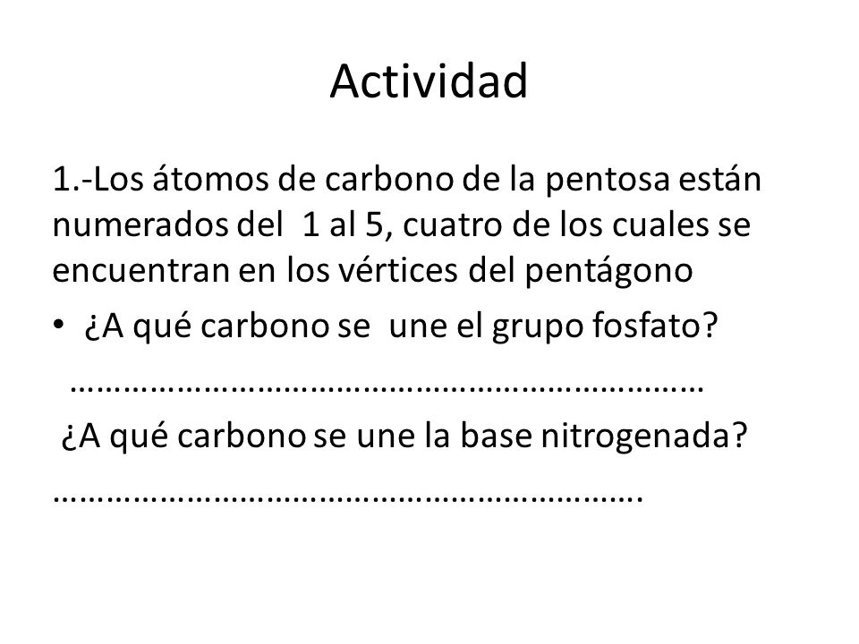 Actividad 1.-Los átomos de carbono de la pentosa están numerados del 1 al 5, cuatro de los cuales se encuentran en los vértices del pentágono.