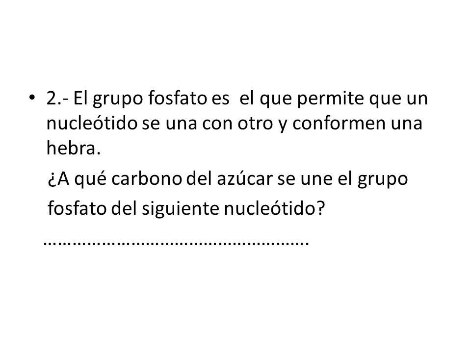 2.- El grupo fosfato es el que permite que un nucleótido se una con otro y conformen una hebra.
