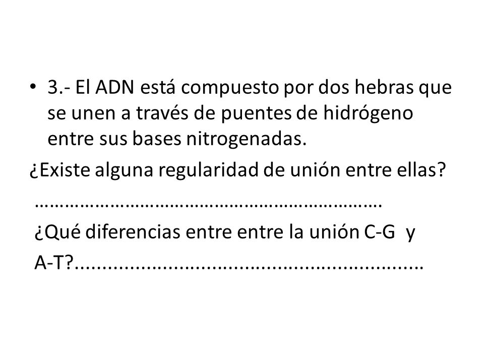 3.- El ADN está compuesto por dos hebras que se unen a través de puentes de hidrógeno entre sus bases nitrogenadas.