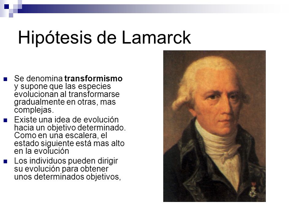 Hipótesis de Lamarck Se denomina transformismo y supone que las especies evolucionan al transformarse gradualmente en otras, mas complejas.