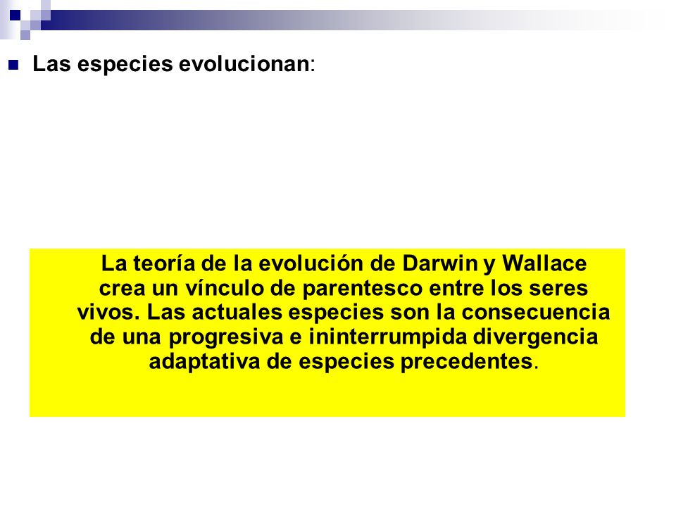 Las especies evolucionan: los individuos que sobreviven forman la siguiente generación y así se trasmiten los cambios ventajosos de generación en generación. De esta manera los cambios se irán acumulando gradualmente en las poblaciones y, con el tiempo se formaran nuevas especies.