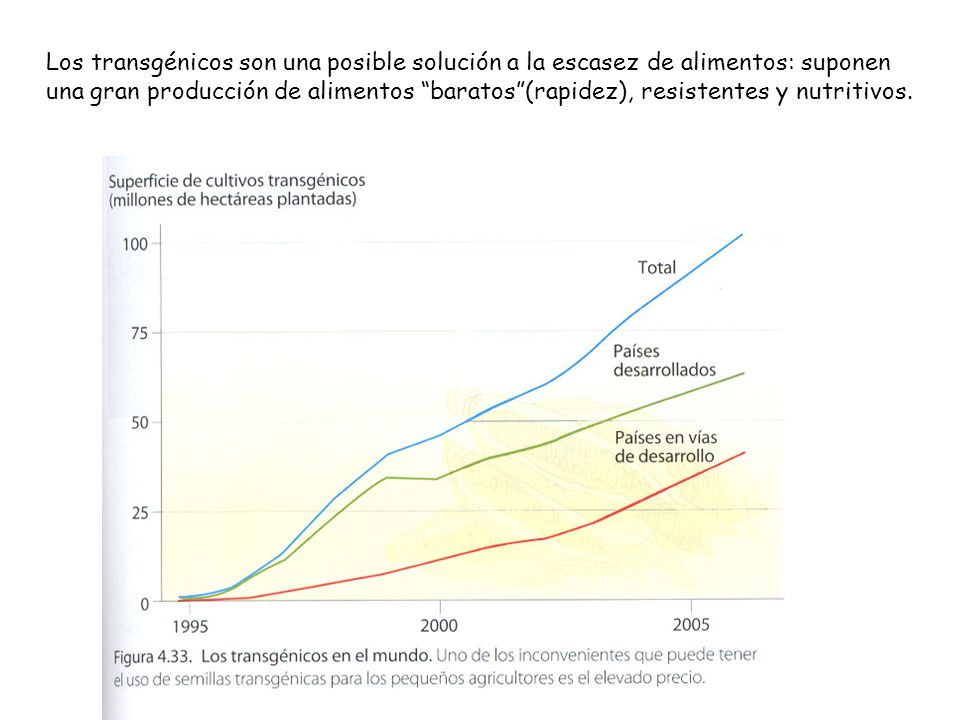 Los transgénicos son una posible solución a la escasez de alimentos: suponen una gran producción de alimentos baratos (rapidez), resistentes y nutritivos.