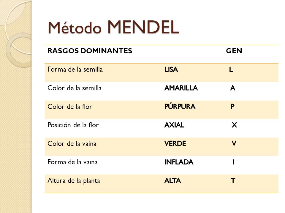 Método MENDEL RASGOS DOMINANTES GEN Forma de la semilla LISA L