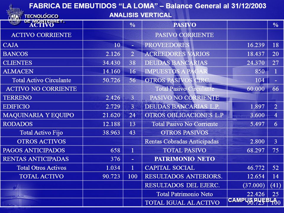 FABRICA DE EMBUTIDOS LA LOMA – Balance General al 31/12/2003