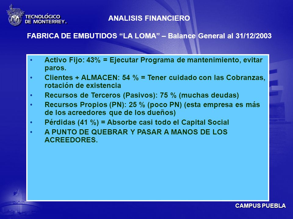FABRICA DE EMBUTIDOS LA LOMA – Balance General al 31/12/2003