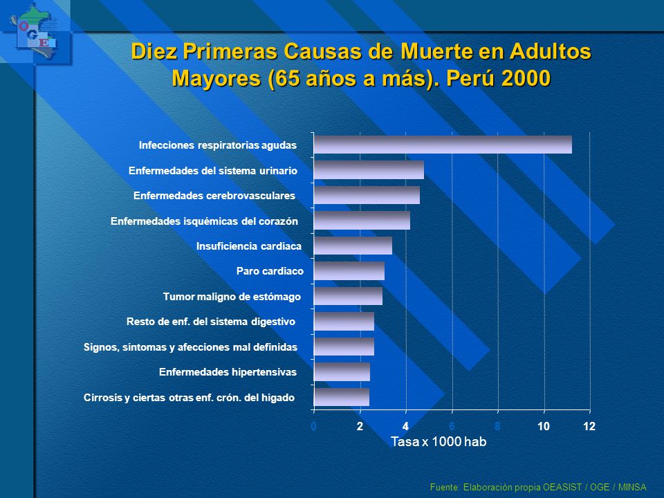 Diez Primeras Causas de Muerte en Adultos Mayores (65 años a más)