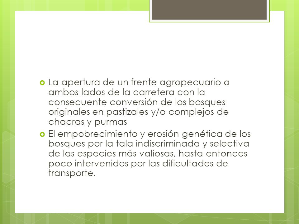 La apertura de un frente agropecuario a ambos lados de la carretera con la consecuente conversión de los bosques originales en pastizales y/o complejos de chacras y purmas