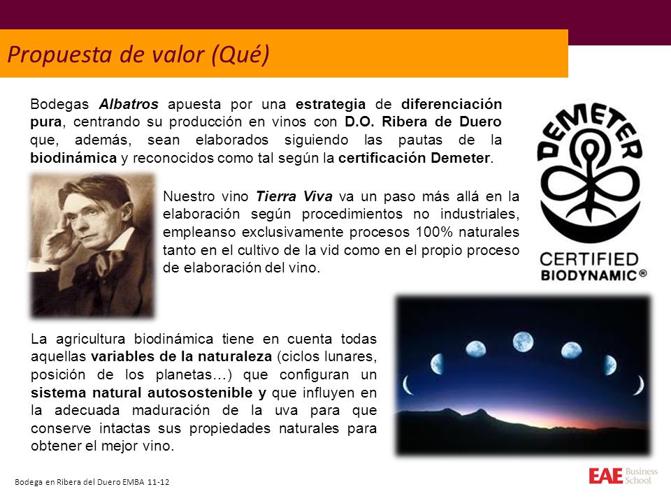 Propuesta de valor (Qué)